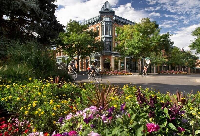 Retro Inspired Downtown Loveland Apartment