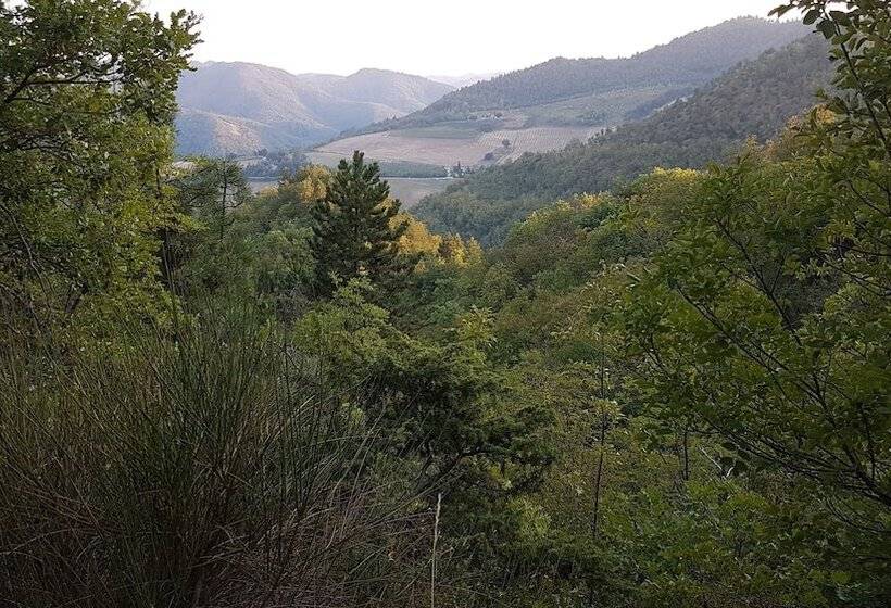 Room In B&b #fortcozzo_2021 #jacuzzisuite #sauna