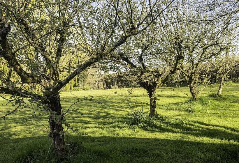 בית מלון כפרי 2 Double Bed Caravan Secure Parking And Wifi