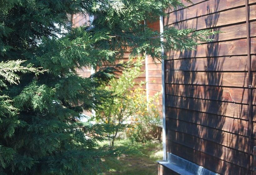 ホテル Aparts Casas Del Centro El Chaltén