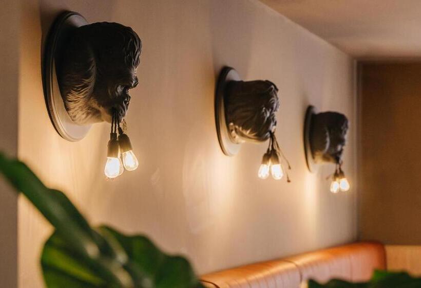 Ikyk Hotel Ik Collection