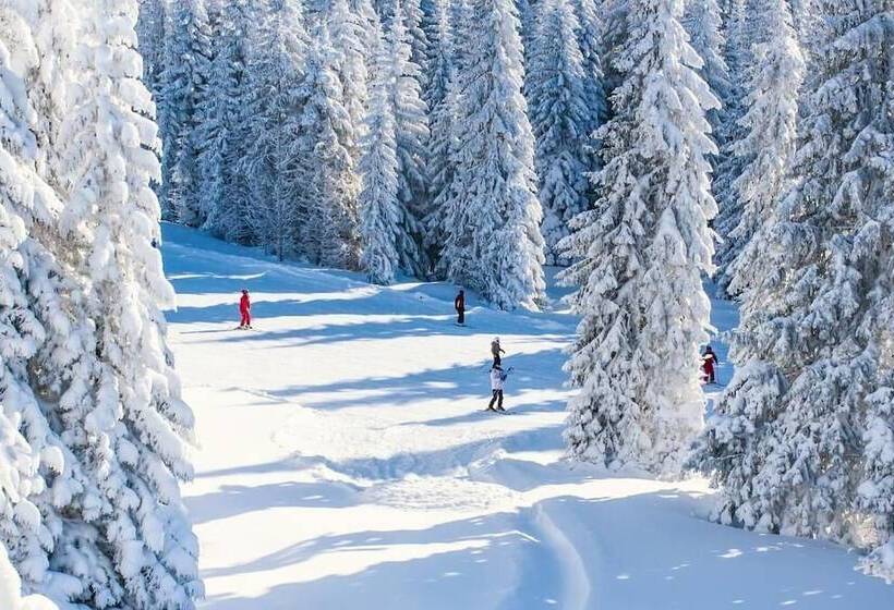 ホテル Savoia Mountain – Il Resort Nel Bosco