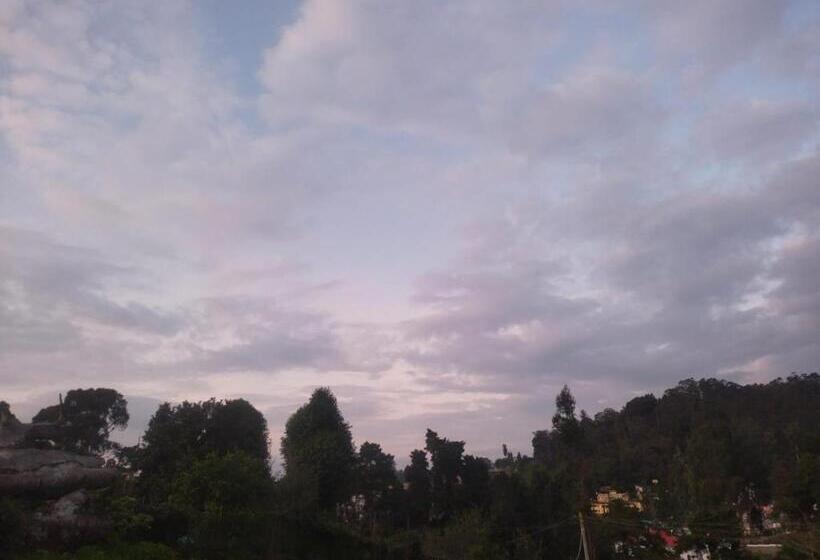 Пансион Green Park Grand Inn