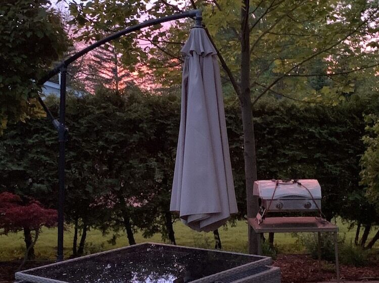 بنسيون The York House