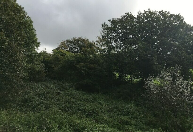 膳宿费 Trewethen Cottage Barn 2,an Idyllic Country Escape