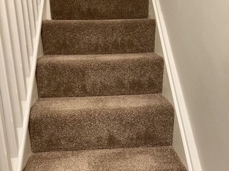 Pinewood Cottage Deluxe Self Catering Apartments