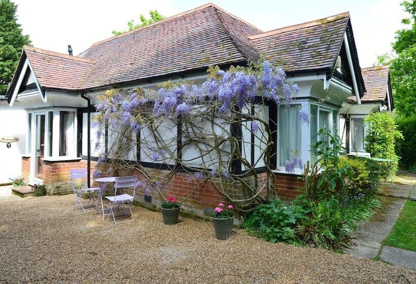 Pinewood Cottage Deluxe Self Catering Apartments