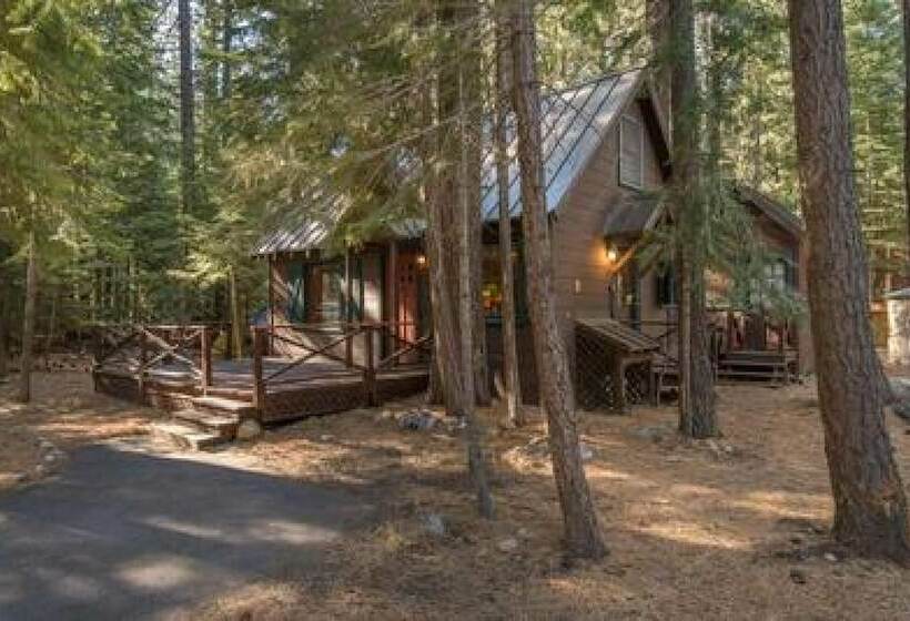 3rd Ave Criterion 26 Owl S Peak