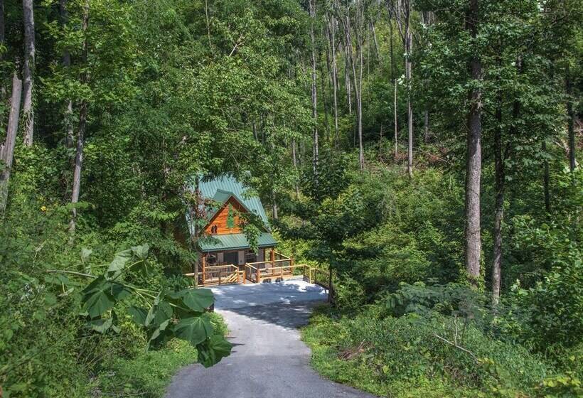 Bearly Hidden By Jackson Mountain Rentals