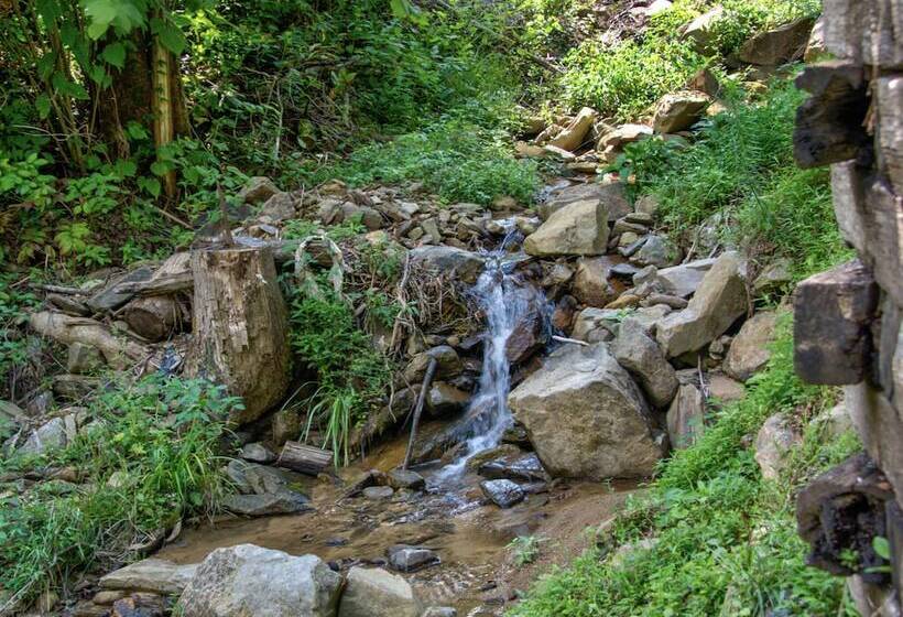 Bearly Hidden By Jackson Mountain Rentals