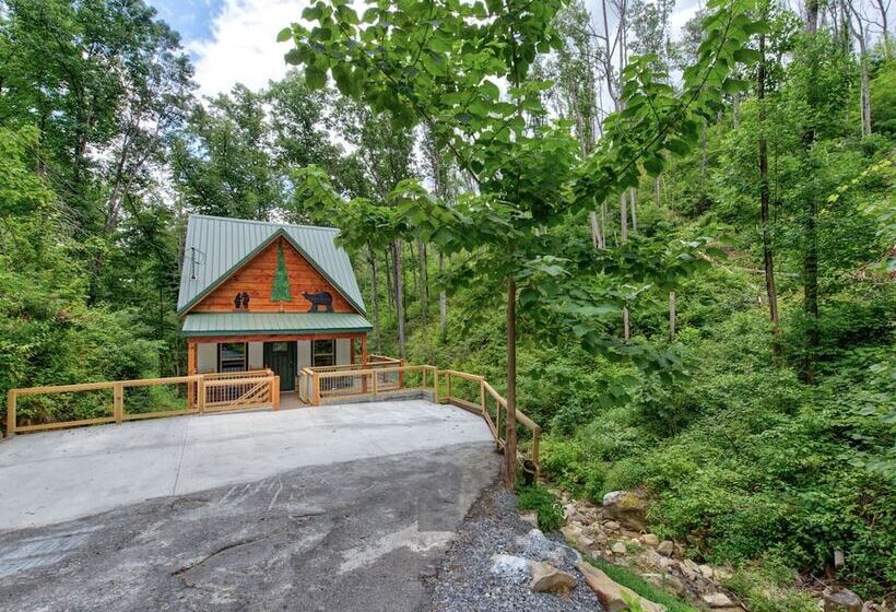 Bearly Hidden By Jackson Mountain Rentals