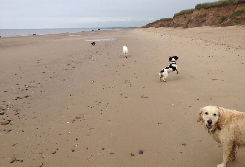 Luxury Dog Friendly Cottage Sleeps 4