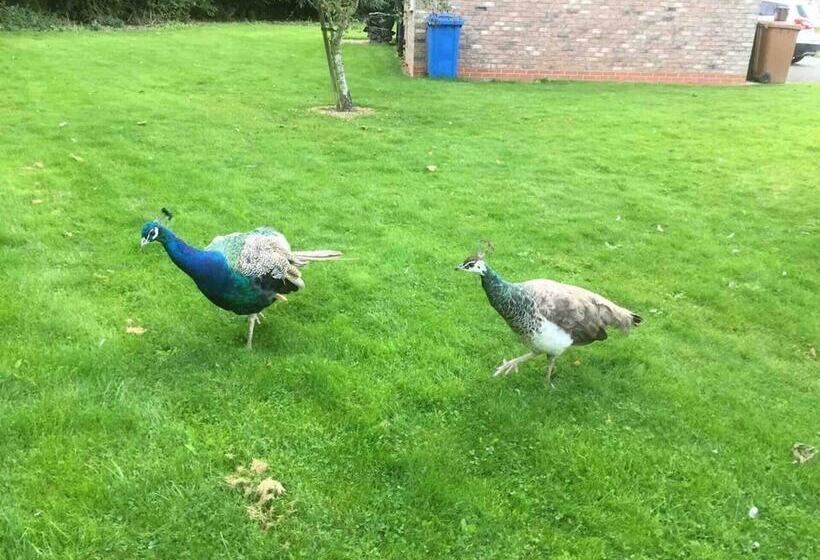 Luxury Dog Friendly Cottage Sleeps 4