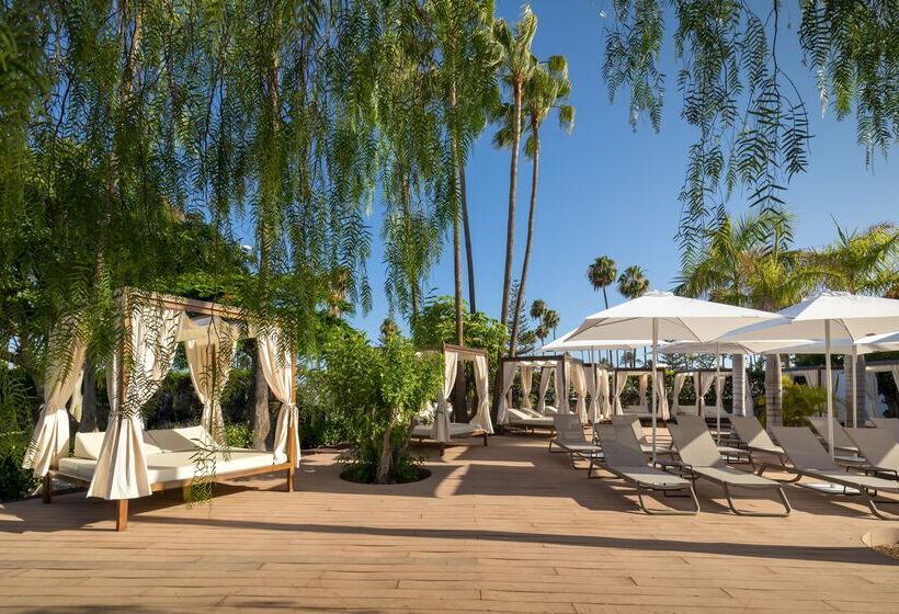 ホテル Barceló Margaritas Royal Level - Adults Only