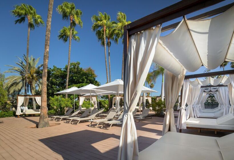 ホテル Barceló Margaritas Royal Level - Adults Only