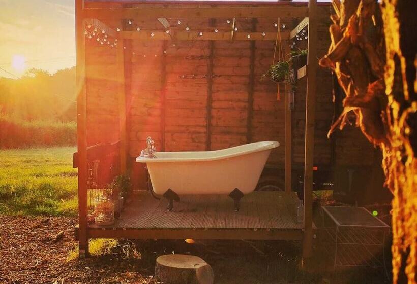 酒店 Gorgeous Horsebox At Glamp In Style In East Sussex