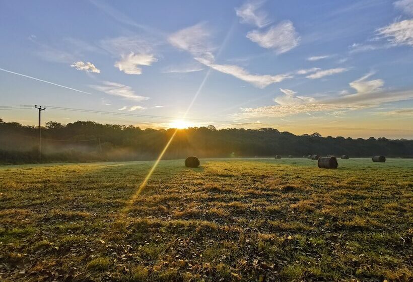 酒店 Gorgeous Horsebox At Glamp In Style In East Sussex