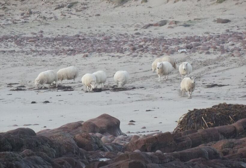 فندق West Horizon Holiday Lodge, Beach 3 Minutes Walk