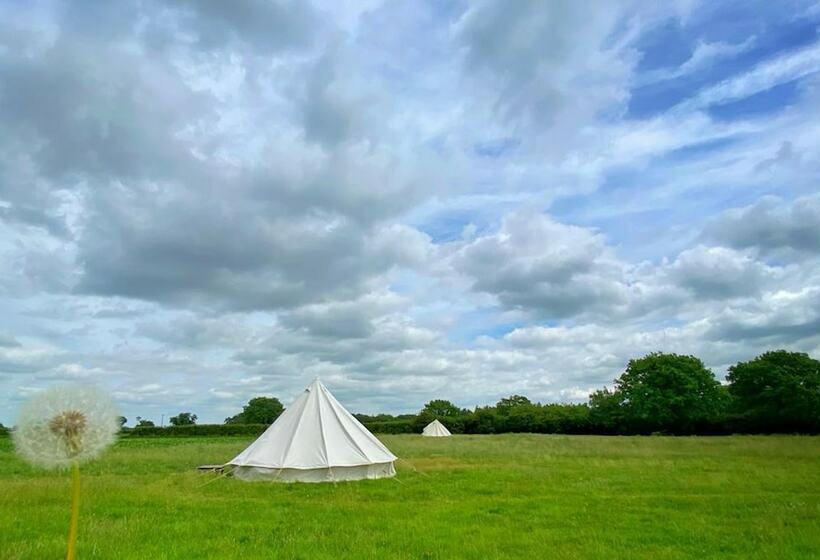 ホテル Wild Orchid Bell Tent In The Broads National Park