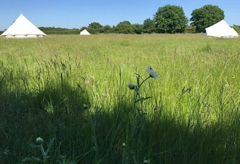 ホテル Wild Orchid Bell Tent In The Broads National Park