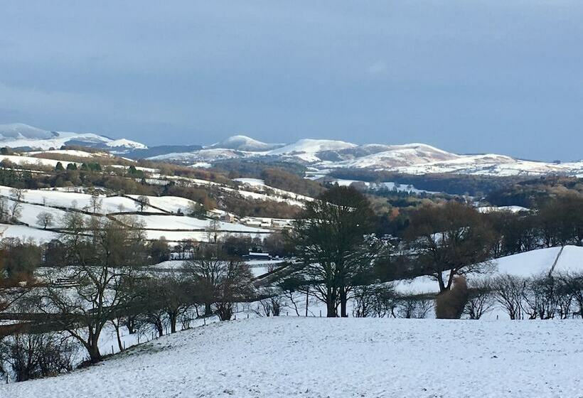 Inviting 5 Beth Caravan In Corwen North Wales