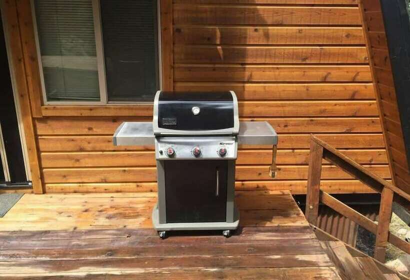 Northwoods Blvd 2   Zephyr