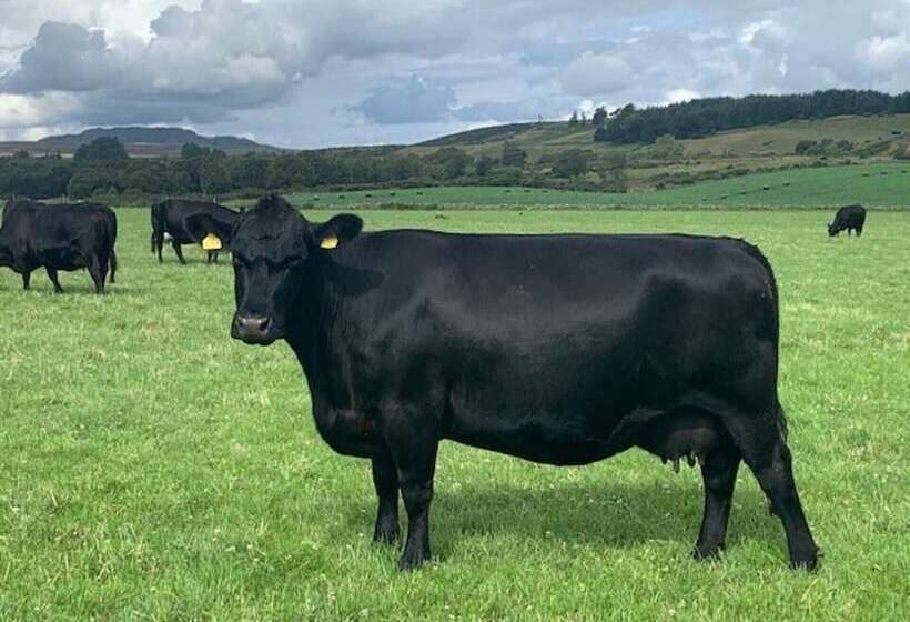 Traditional Bothy Accommodation