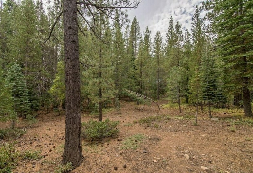 Viking Way 2   Whiskey Springs