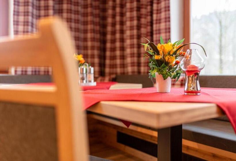 Appartement Pension Auhof