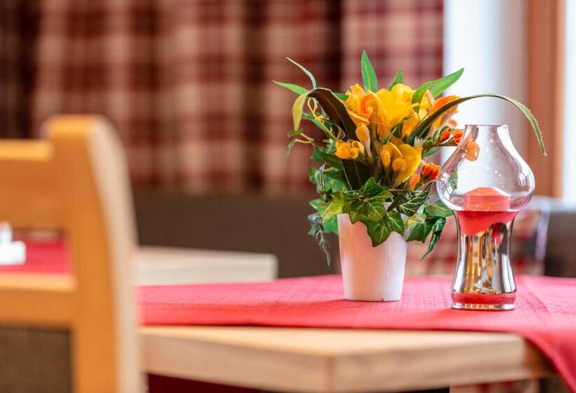 Appartement Pension Auhof