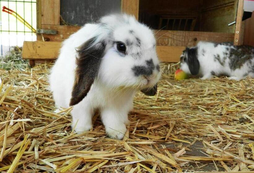 Baby  Und Kinderbauernhof Riegler