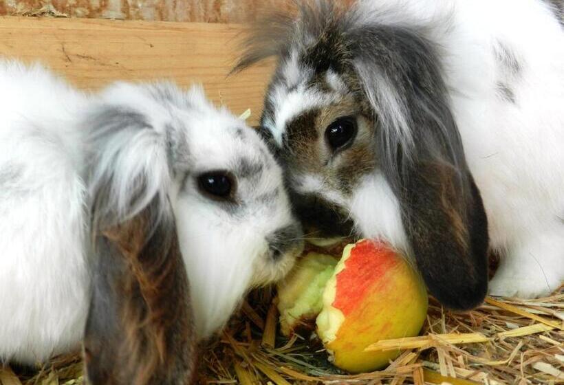 Baby  Und Kinderbauernhof Riegler