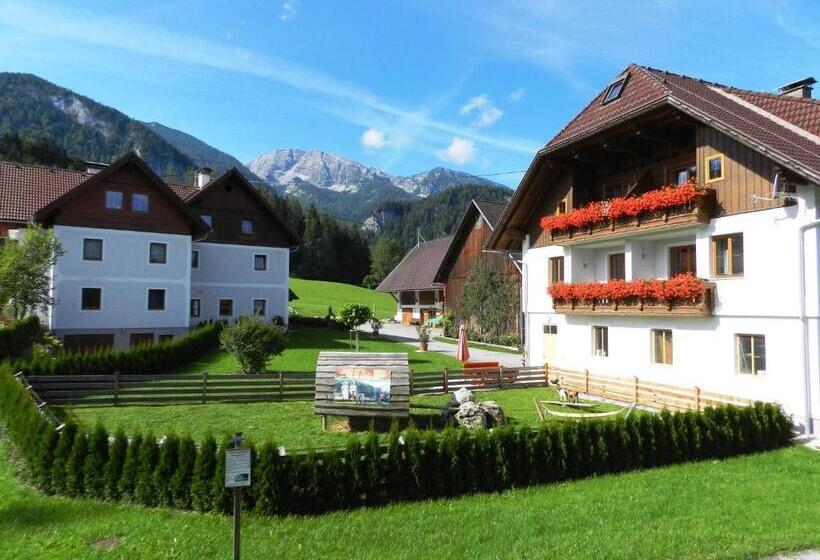 Baby  Und Kinderbauernhof Riegler