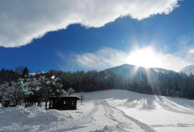 Baby  Und Kinderbauernhof Riegler