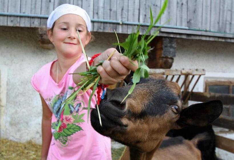 Bauernhof Ferienwohnungen Sennhof