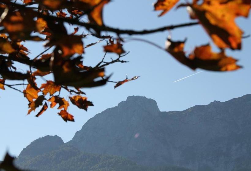 Bauernhof Schrattenbauer