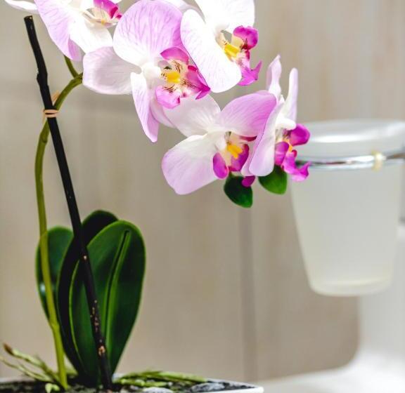 민박 Andrea 3 Sterne Superior