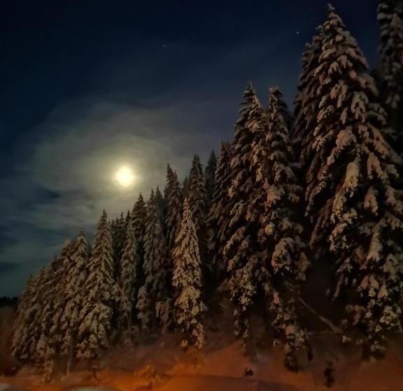 민박 Andrea 3 Sterne Superior