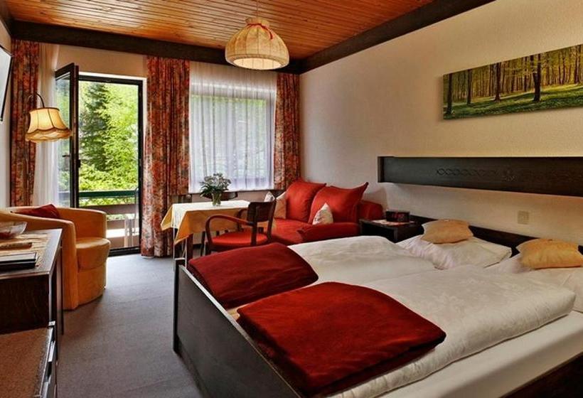 Bed and Breakfast Alpenpension Birkenhof