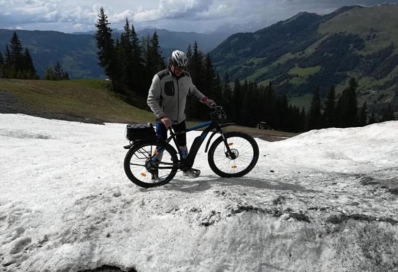 تختخواب و صبحانه Pension Posauner