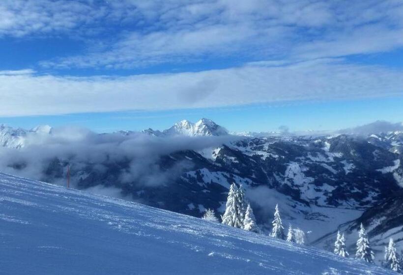 تختخواب و صبحانه Pension Posauner