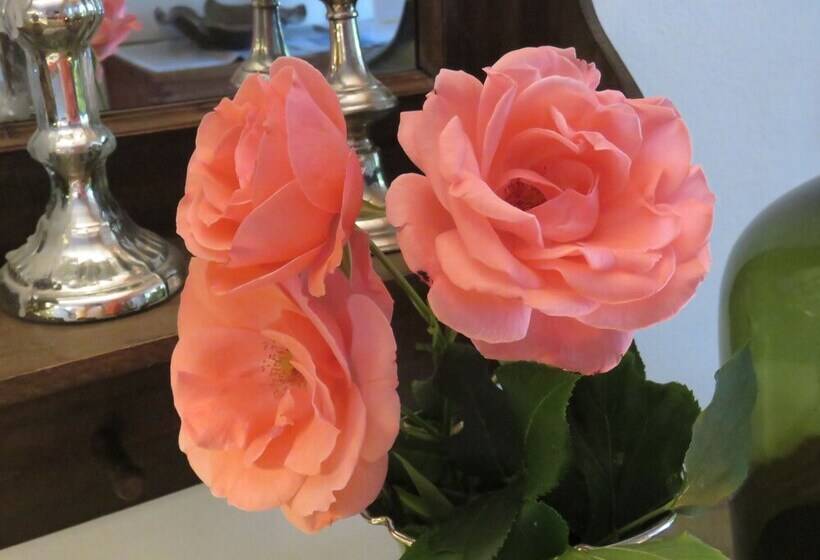 Bed and Breakfast Sportpension Thayer