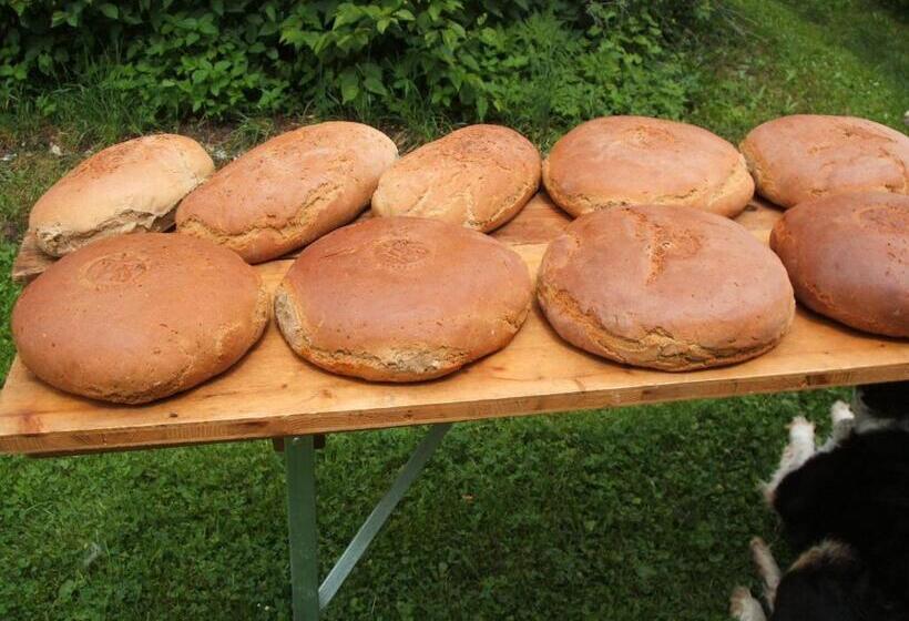 Bio Bauernhof Vorderoberlehen