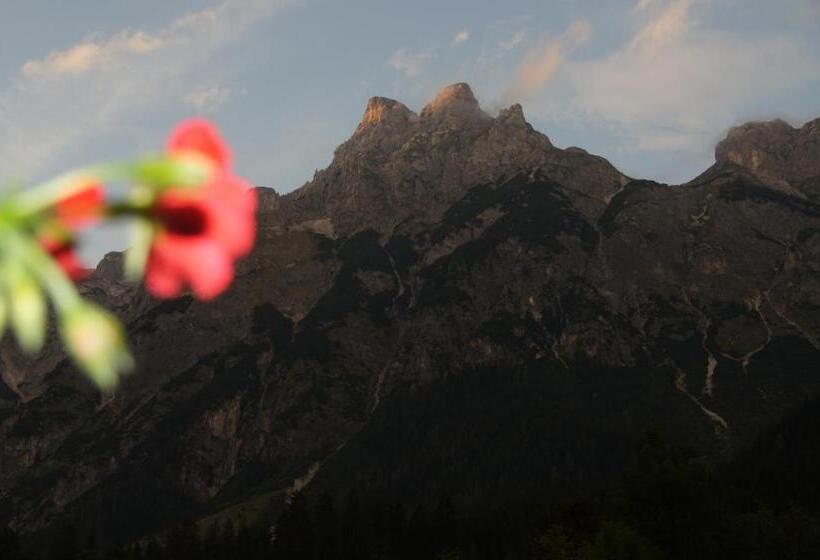Bio Bauernhof Vorderoberlehen
