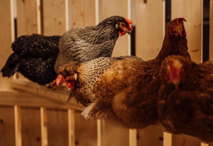 Erlebnisgut & Reiterhof Oberhabach