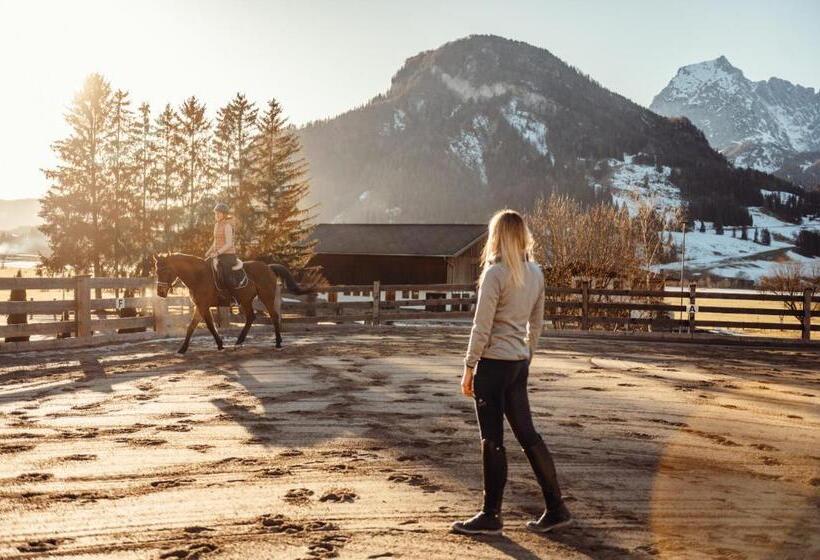 Erlebnisgut & Reiterhof Oberhabach