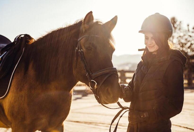 Erlebnisgut & Reiterhof Oberhabach