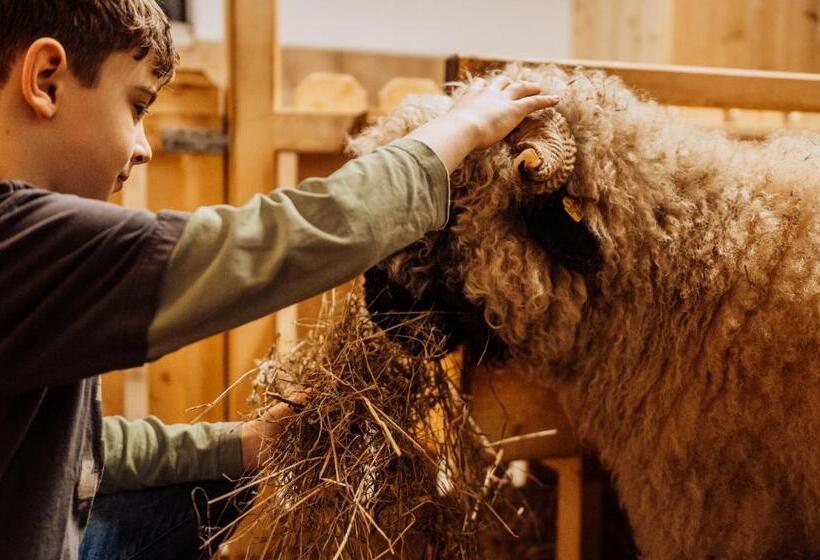 Erlebnisgut & Reiterhof Oberhabach