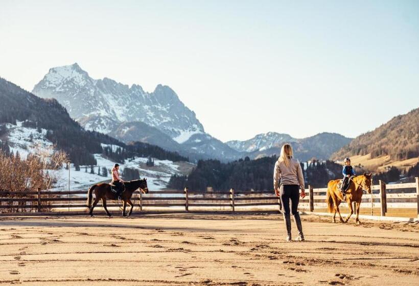 Erlebnisgut & Reiterhof Oberhabach