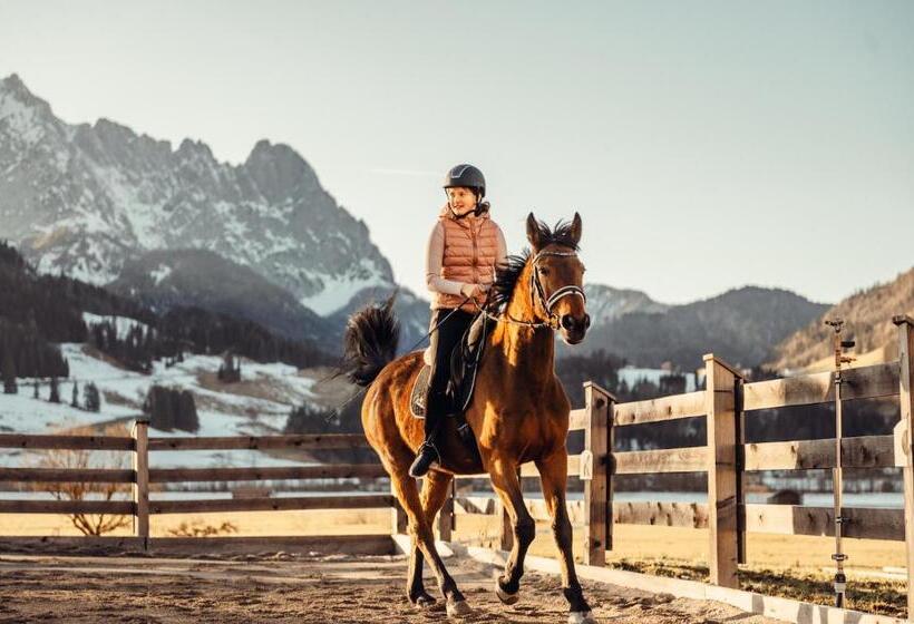 Erlebnisgut & Reiterhof Oberhabach